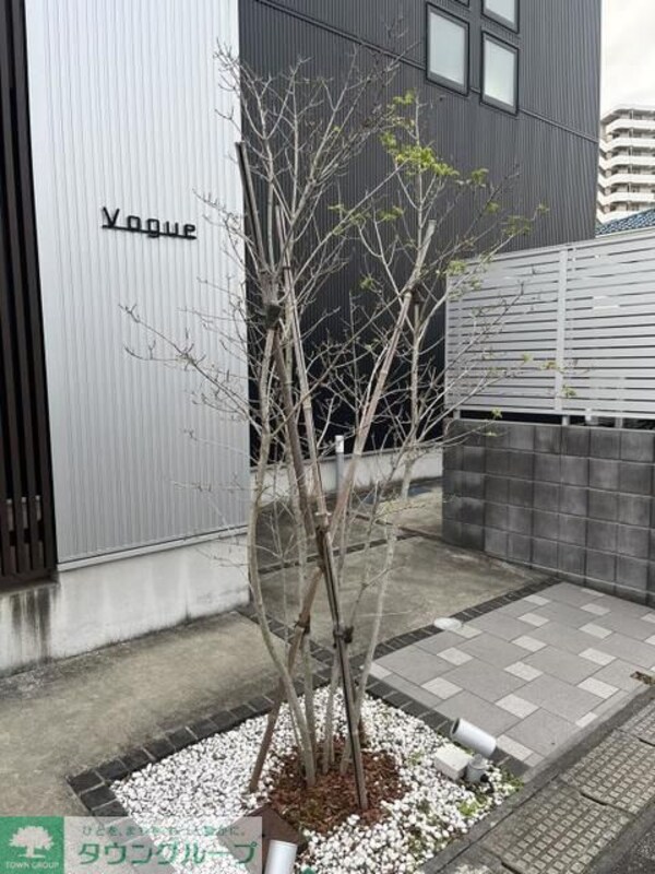 庭