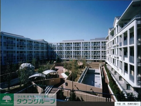 庭