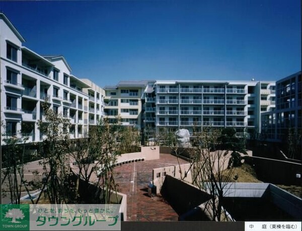 庭