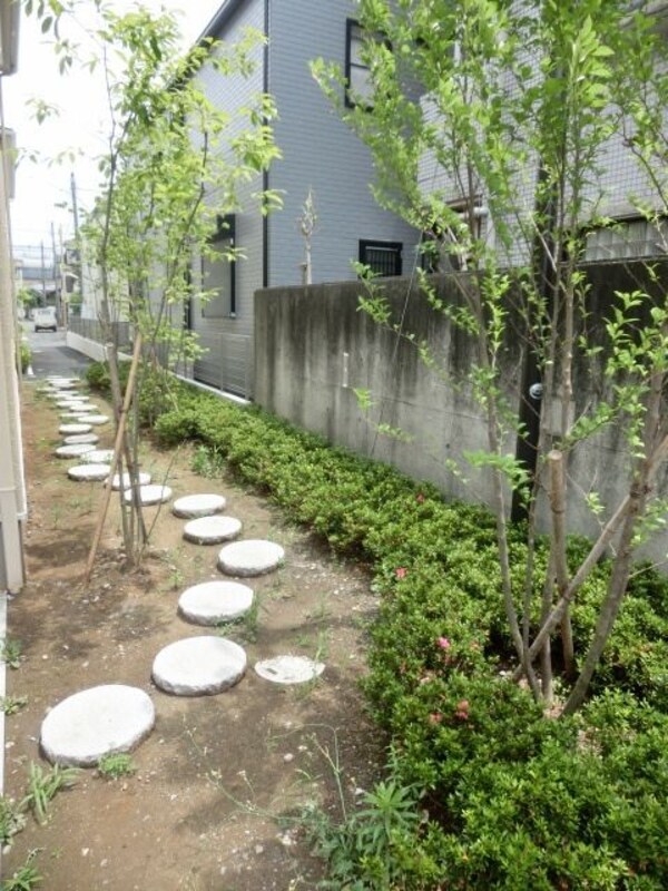 庭