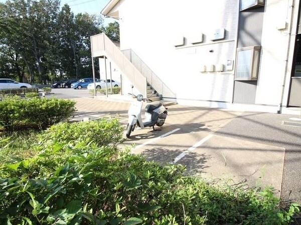 庭