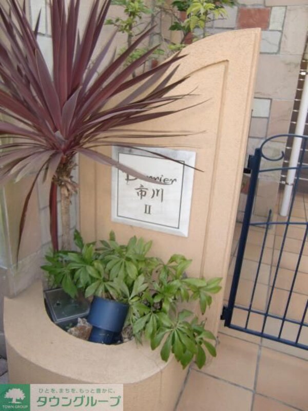 庭(植栽)