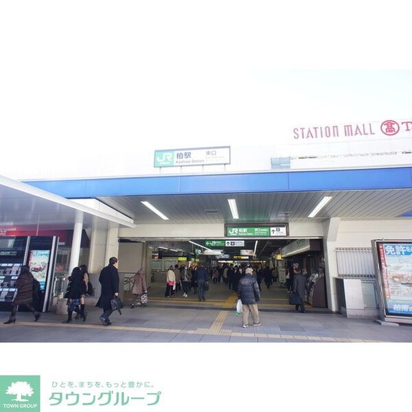 その他(最寄り駅：柏駅)