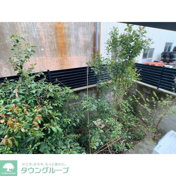 庭