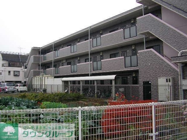 庭