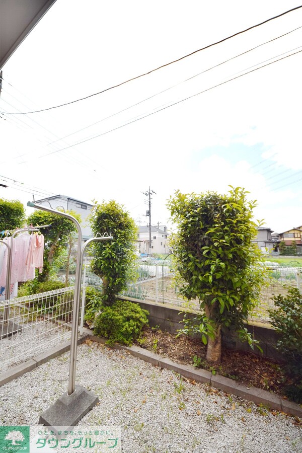 庭