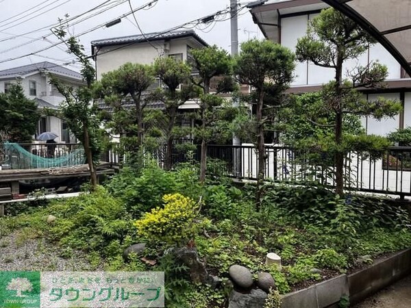 庭