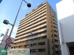2025年8月撮影