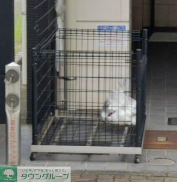 共有部分(庭)