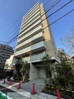 眺