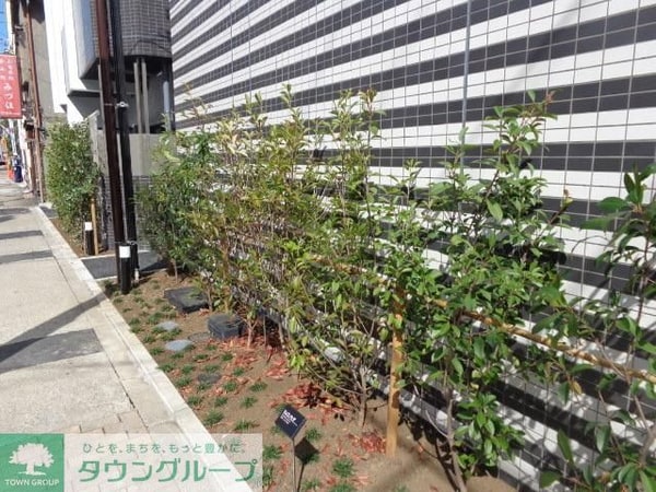 庭(植栽)