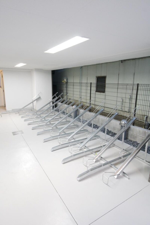 駐車場(エントランス)