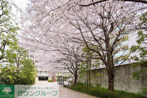 庭(2018年3月撮影)