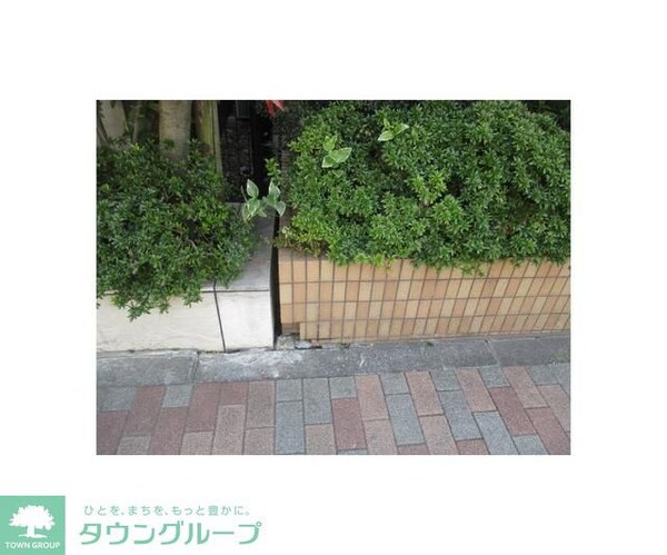 庭