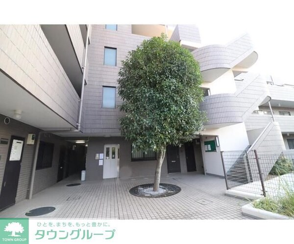 庭