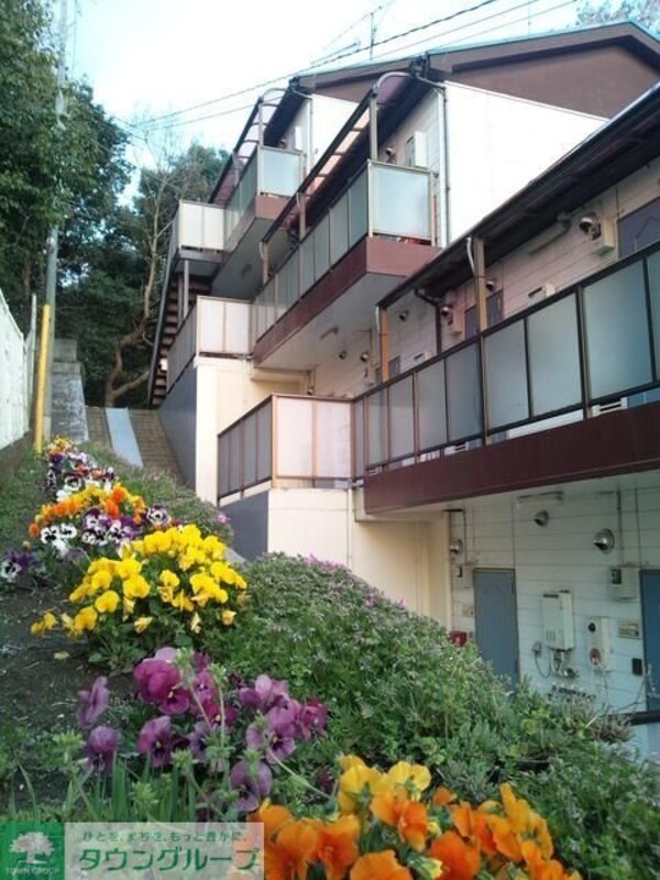 庭