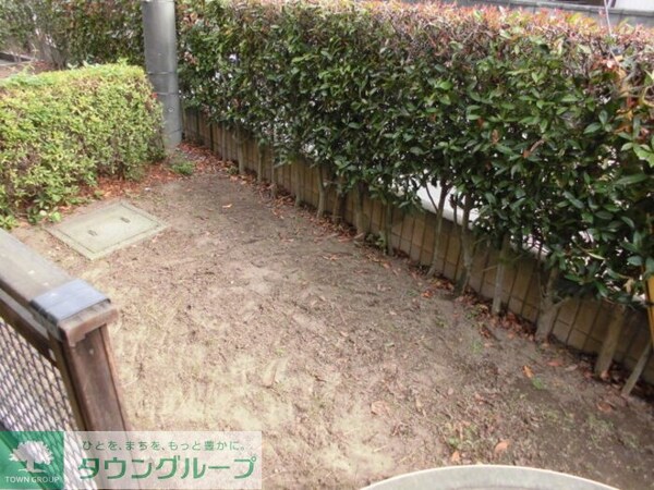 庭