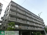 日当たり良好です