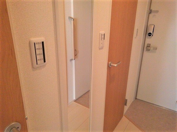 その他(姿見です。)