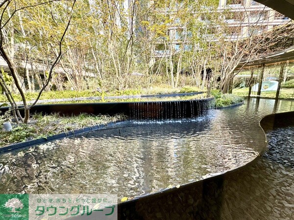庭(お問合せは(株)タウンハウジング東京へ)