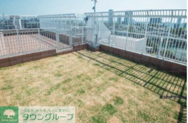 庭