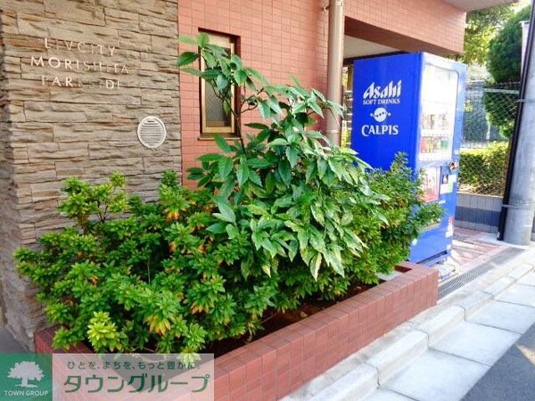 庭(植栽)