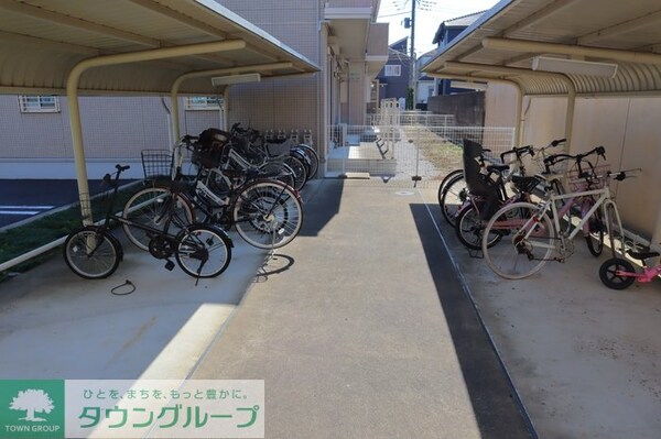 庭