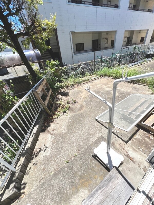 庭