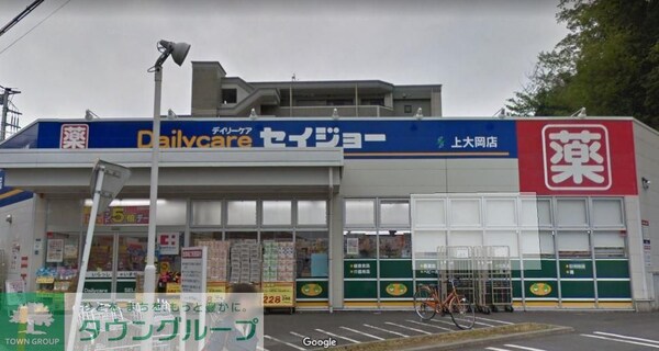 その他(【ドラッグストア】セイジョー上大岡店まで328ｍ)