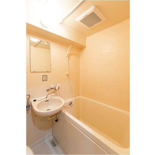 バス／シャワールーム等(※同系統別部屋です。)