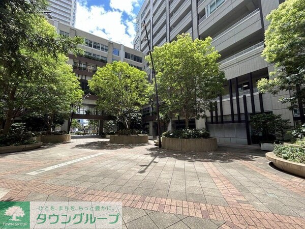 庭