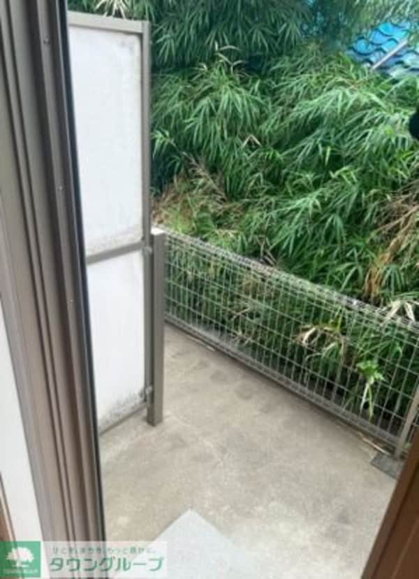 庭