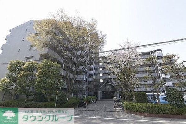外観(外観)