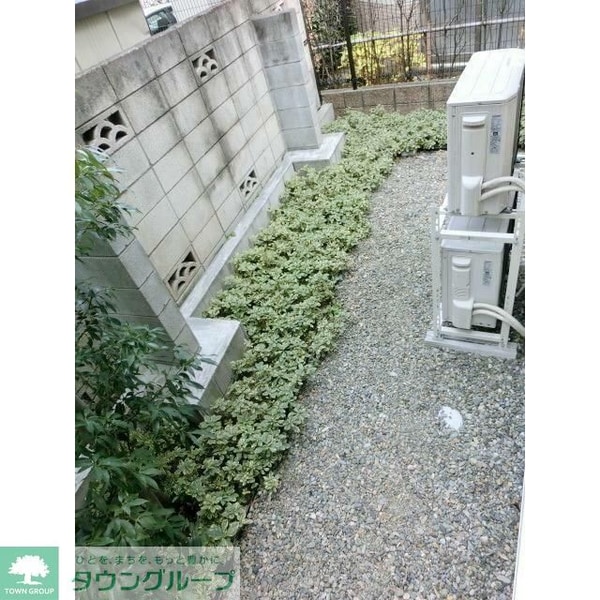 庭(庭)