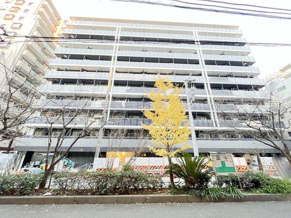 外観(外観)