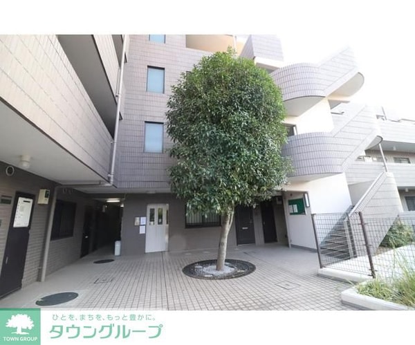 庭
