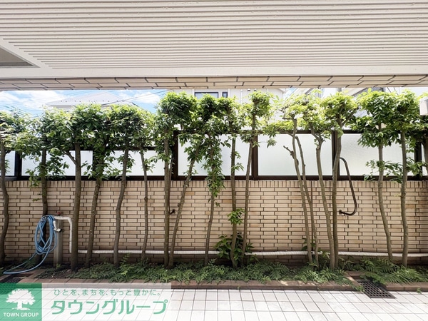庭