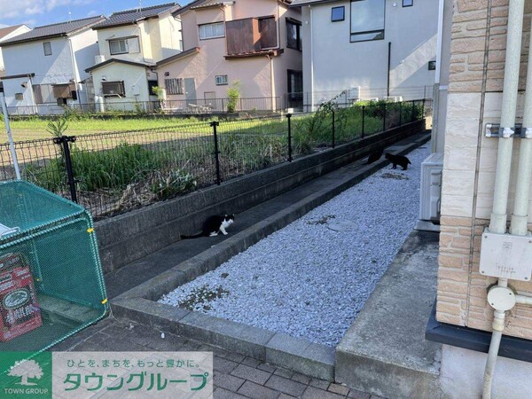 庭