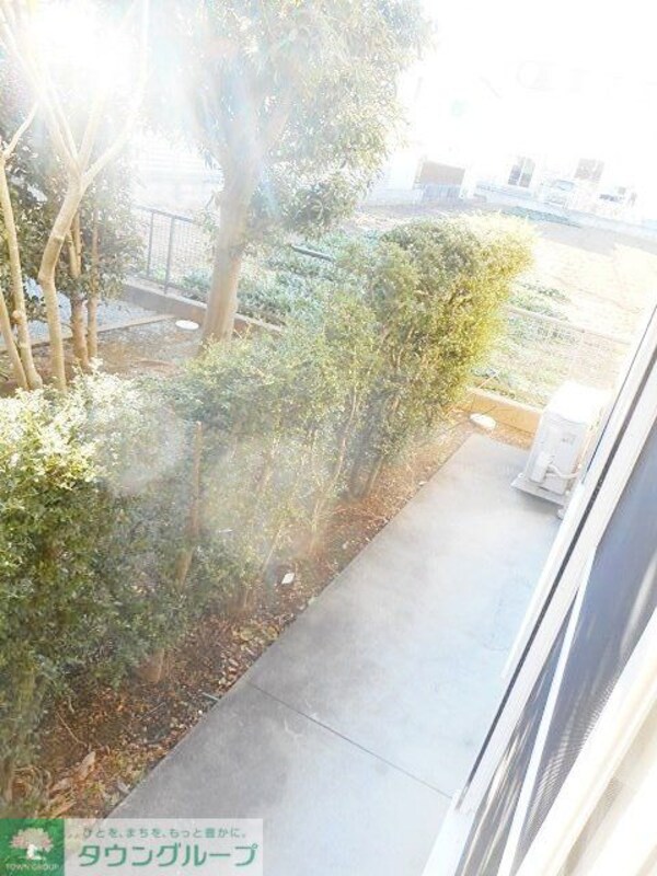庭