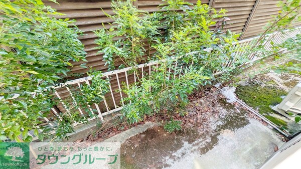 庭(庭)