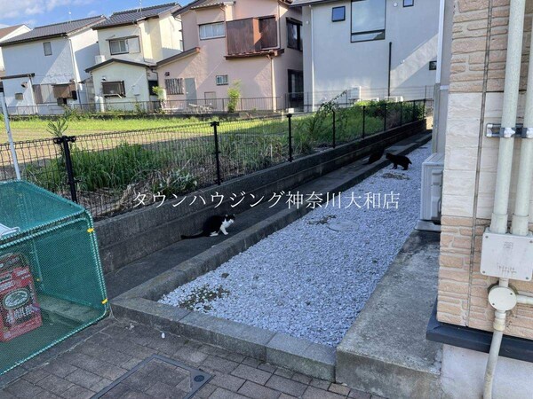 庭(★★庭★★)