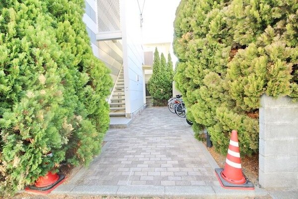 庭
