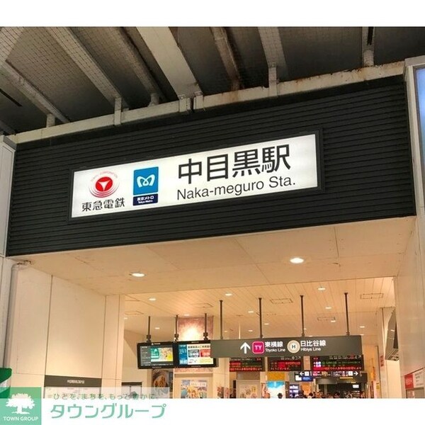 その他(中目黒駅（516ｍ）)