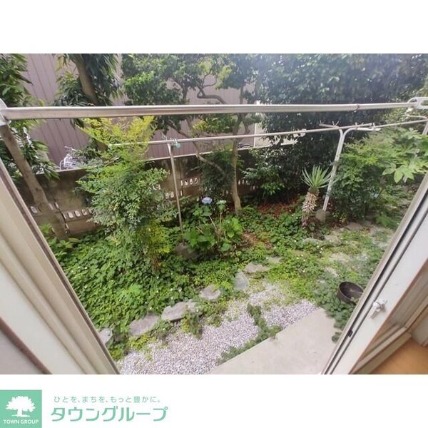 庭