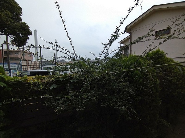 共有部分(現況と異なる場合があります（現況優先）)