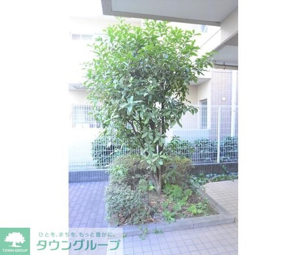 庭