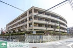 2018年4月撮影
