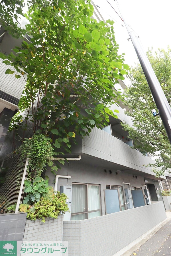 外観(お部屋探しはタウンハウジングへ♪)