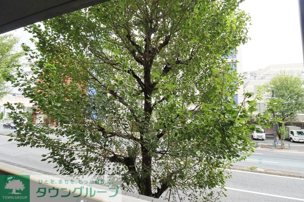 眺望(お部屋探しはタウンハウジングへ♪)