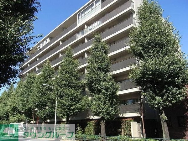 外観(新築工事中)